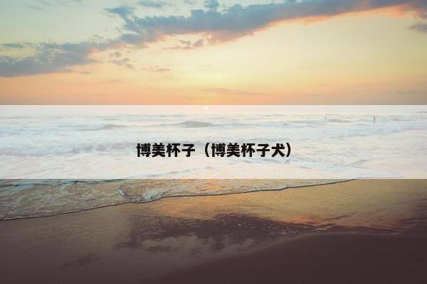 博美杯子（博美杯子犬）
