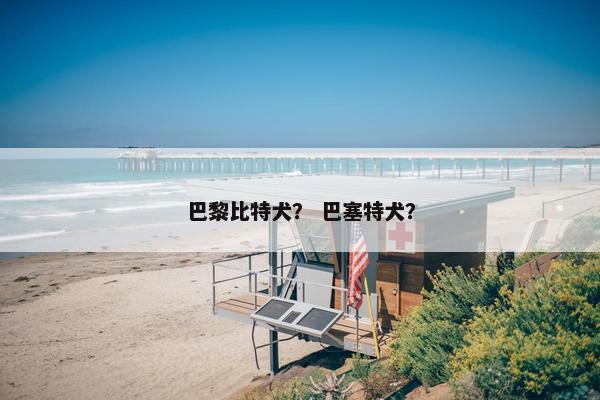 巴黎比特犬？ 巴塞特犬？