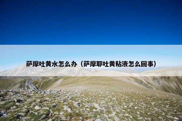 萨摩吐黄水怎么办（萨摩耶吐黄粘液怎么回事）