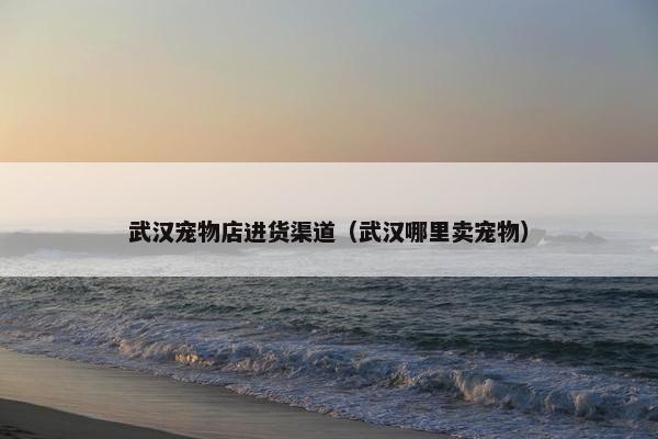 宠物用品