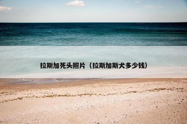 拉斯加死头照片（拉斯加斯犬多少钱）