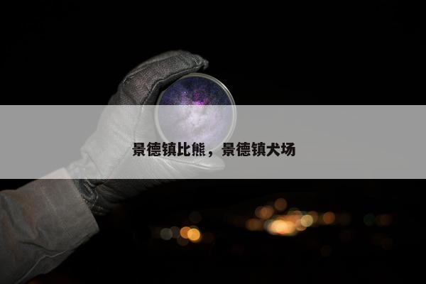景德镇比熊，景德镇犬场