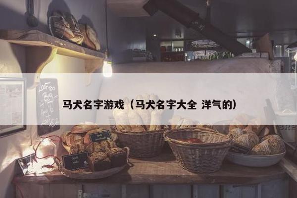 马犬名字游戏（马犬名字大全 洋气的）