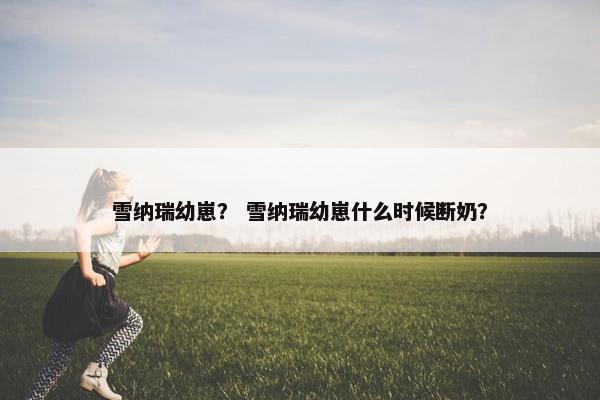 雪纳瑞幼崽？ 雪纳瑞幼崽什么时候断奶？
