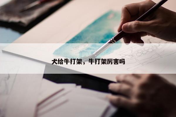 犬给牛打架，牛打架厉害吗