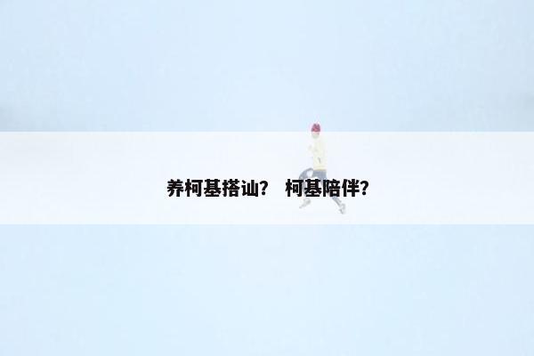 养柯基搭讪? 柯基陪伴?