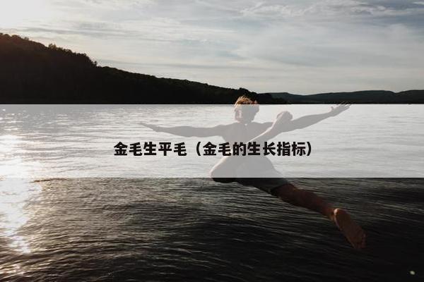 金毛生平毛（金毛的生长指标）