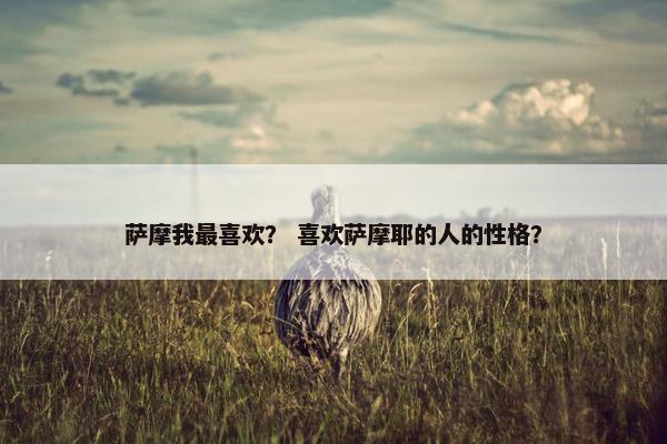 萨摩我最喜欢？ 喜欢萨摩耶的人的性格？