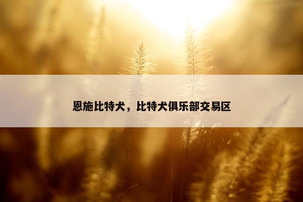 恩施比特犬，比特犬俱乐部交易区
