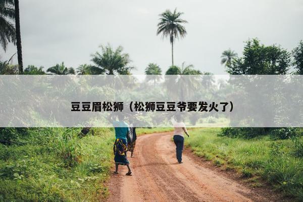 豆豆眉松狮（松狮豆豆爷要发火了）