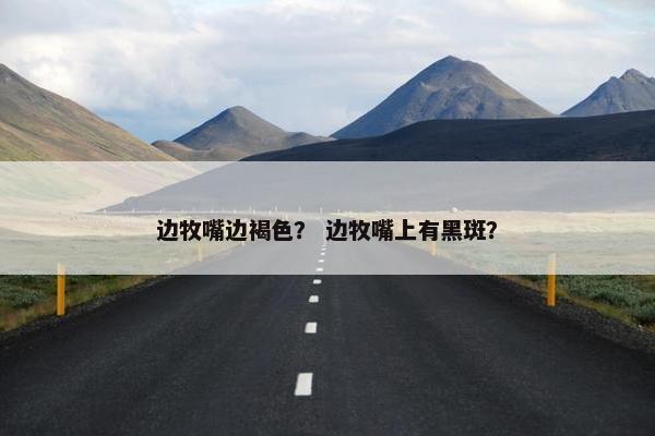 边牧嘴边褐色？ 边牧嘴上有黑斑？