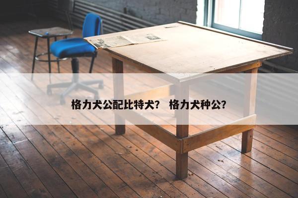格力犬公配比特犬？ 格力犬种公？