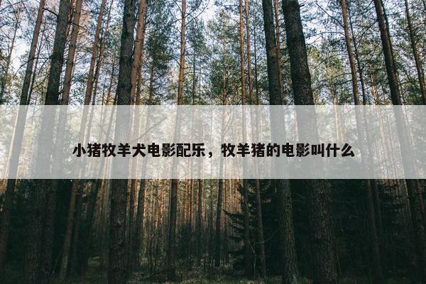 小猪牧羊犬电影配乐,牧羊猪的电影叫什么