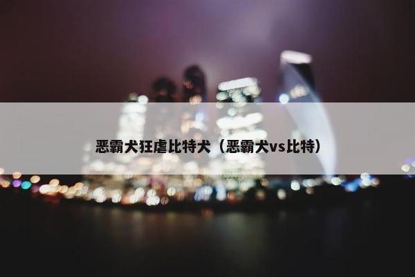 恶霸犬狂虐比特犬（恶霸犬vs比特）