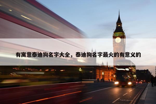 有寓意泰迪狗名字大全,泰迪狗名字最火的有意义的