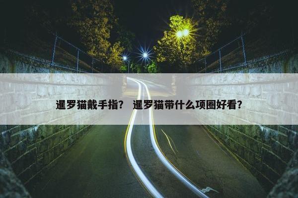 暹罗猫戴手指？ 暹罗猫带什么项圈好看？
