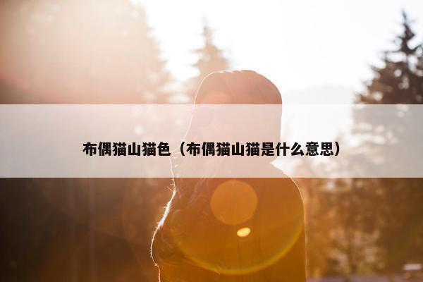 布偶猫山猫色（布偶猫山猫是什么意思）