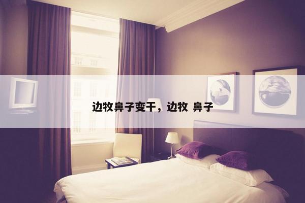 边牧鼻子变干，边牧 鼻子