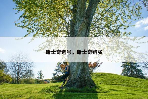 哈士奇选号，哈士奇购买