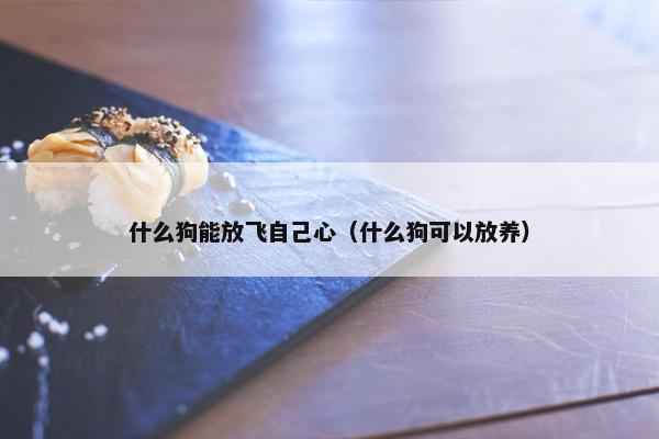 什么狗能放飞自己心（什么狗可以放养）