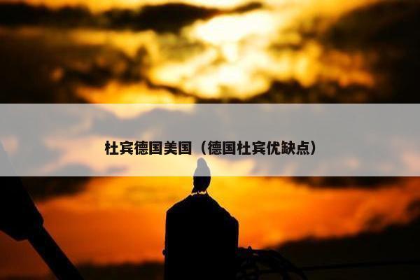 杜宾德国美国（德国杜宾优缺点）
