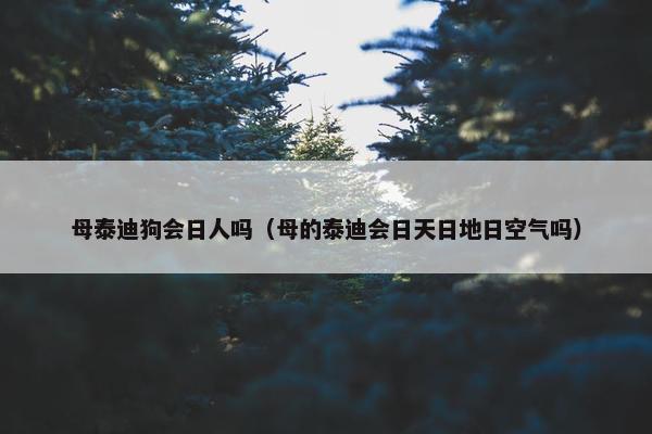母泰迪狗会日人吗（母的泰迪会日天日地日空气吗）
