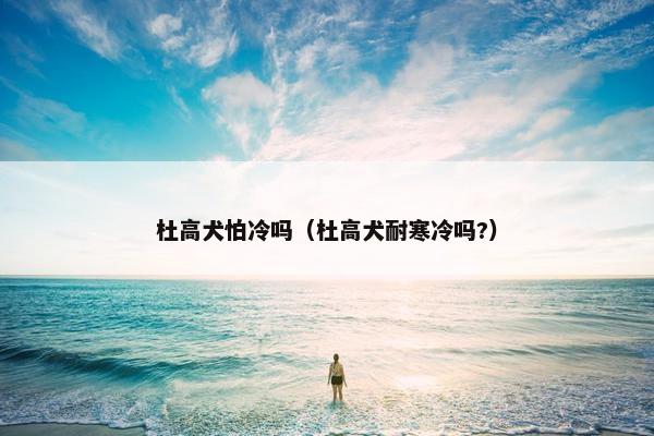 杜高犬怕冷吗（杜高犬耐寒冷吗?）