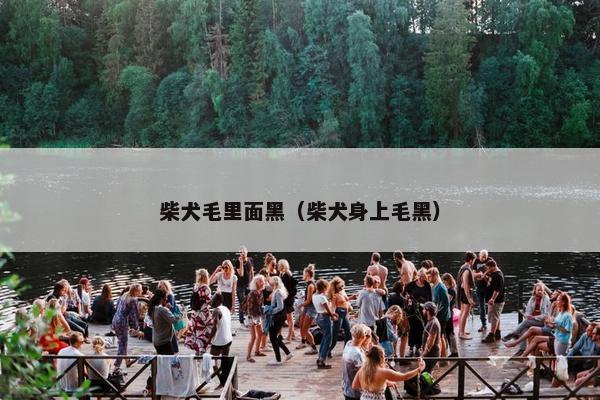 毛发 第15页