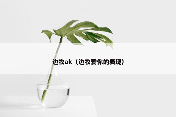 边牧ak（边牧爱你的表现）