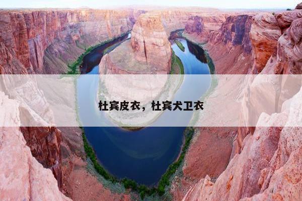 杜宾皮衣，杜宾犬卫衣