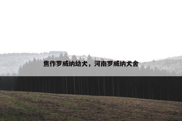 焦作罗威纳幼犬，河南罗威纳犬舍