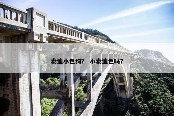 泰迪小色狗？ 小泰迪色吗？