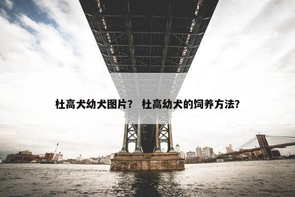 杜高犬幼犬图片？ 杜高幼犬的饲养方法？