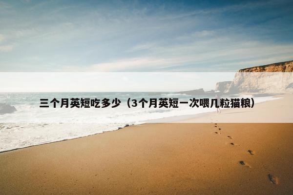 三个月英短吃多少（3个月英短一次喂几粒猫粮）