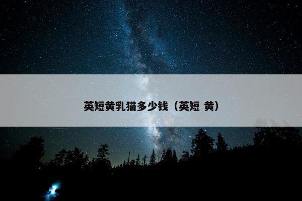 英短黄乳猫多少钱（英短 黄）