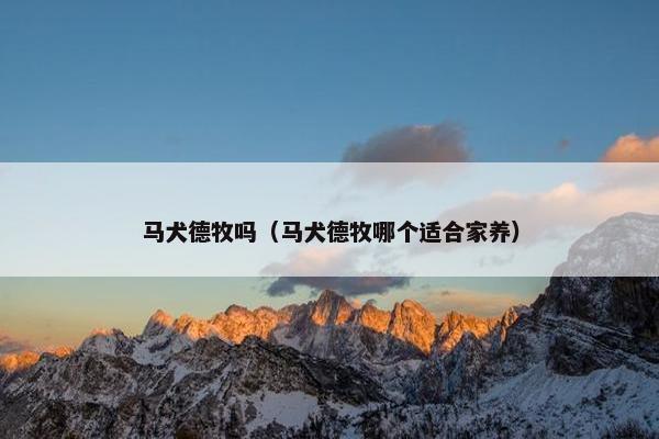 马犬德牧吗（马犬德牧哪个适合家养）