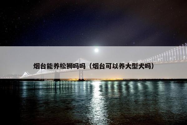烟台能养松狮吗吗（烟台可以养大型犬吗）