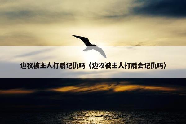 边牧被主人打后记仇吗（边牧被主人打后会记仇吗）
