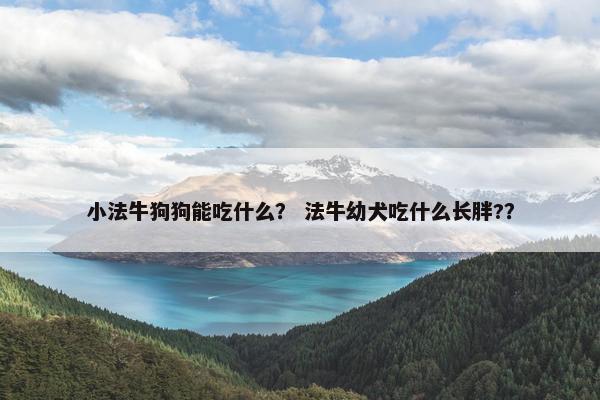 小法牛狗狗能吃什么？ 法牛幼犬吃什么长胖?？
