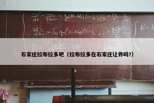 石家庄拉布拉多吧（拉布拉多在石家庄让养吗?）