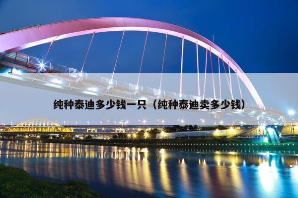 纯种泰迪多少钱一只（纯种泰迪卖多少钱）