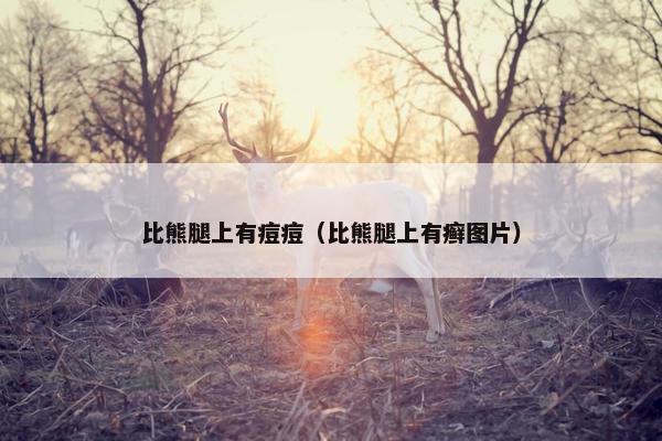 比熊腿上有痘痘（比熊腿上有癣图片）