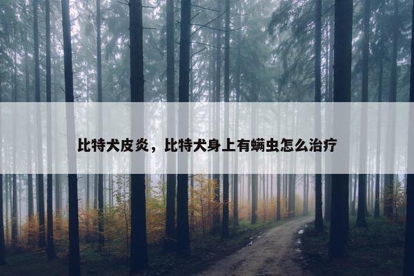 比特犬皮炎，比特犬身上有螨虫怎么治疗
