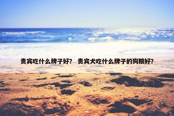 贵宾吃什么牌子好？ 贵宾犬吃什么牌子的狗粮好？
