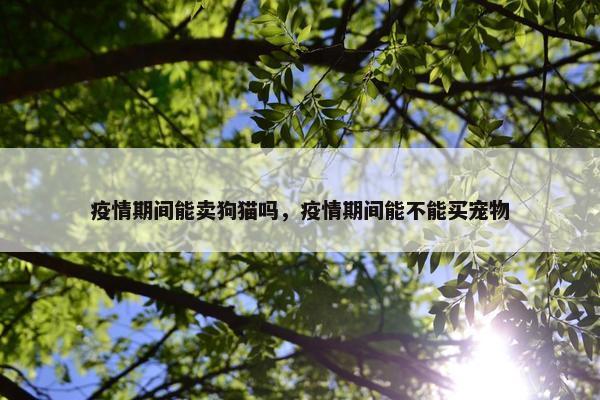 疫情期间能卖狗猫吗，疫情期间能不能买宠物