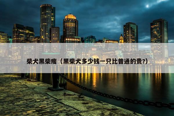 柴犬黑柴瘦（黑柴犬多少钱一只比普通的贵?）
