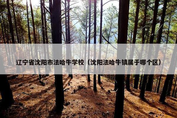 辽宁省沈阳市法哈牛学校（沈阳法哈牛镇属于哪个区）