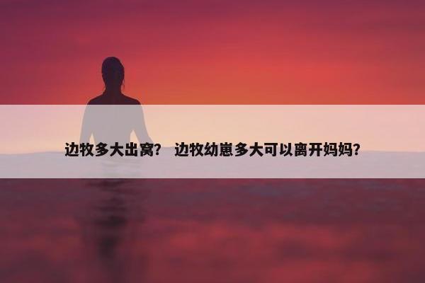 边牧多大出窝？ 边牧幼崽多大可以离开妈妈？