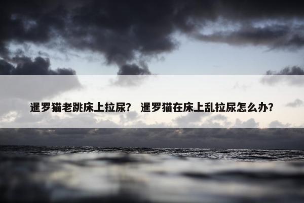 暹罗猫老跳床上拉尿？ 暹罗猫在床上乱拉尿怎么办？