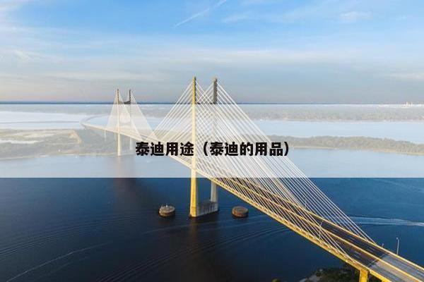 泰迪用途（泰迪的用品）